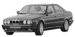 BMW E34 P1460 Fault Code
